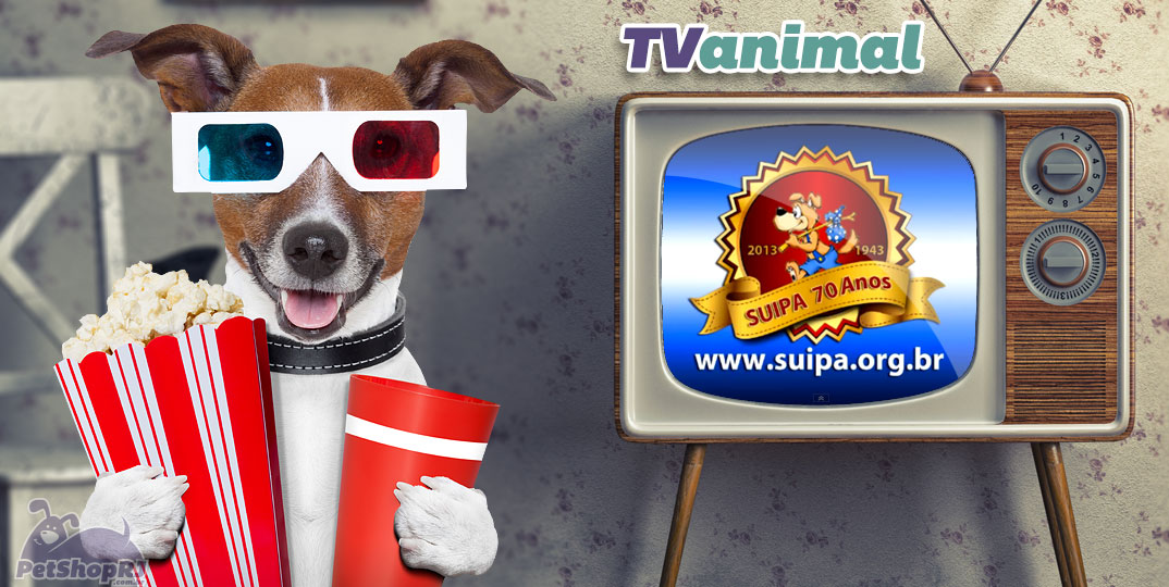 Suipa, 70 anos de proteção aos animais