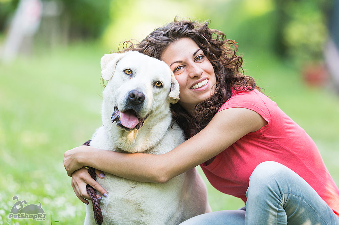 Animais de estimação em alta no país