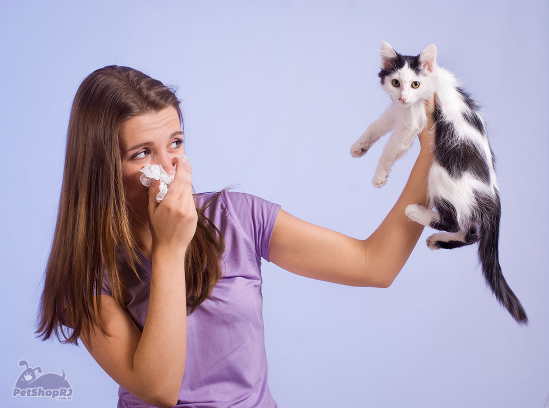 Esperança para fim de alergias geradas por gatos