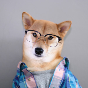 MenswearDog