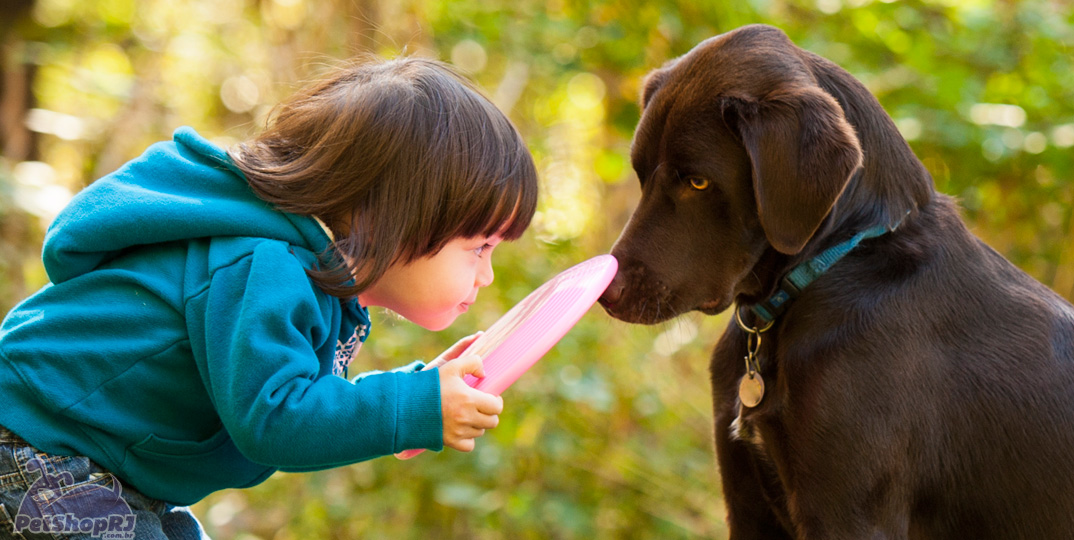 Brincadeiras ajudam a aliviar o estresse dos cães