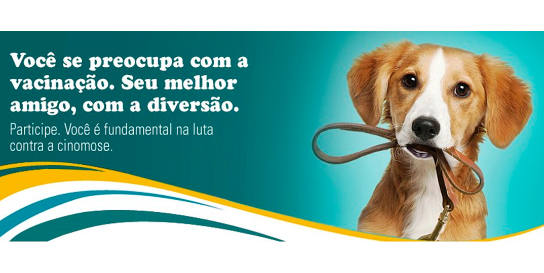 Cinomose: doença contagiosa ataca cães e furões