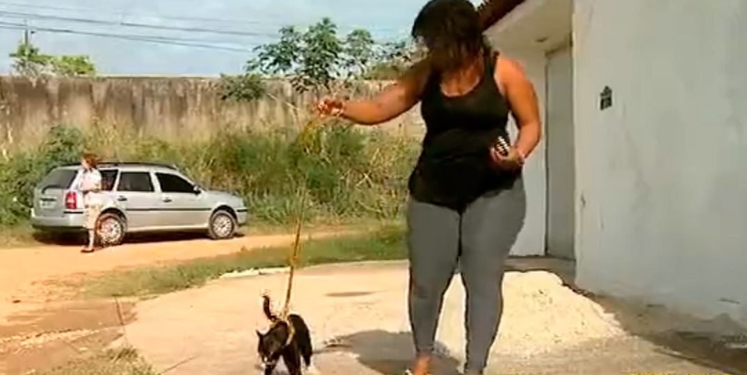 Dezesseis gatos são encontrados mortos na Baixada Fluminense