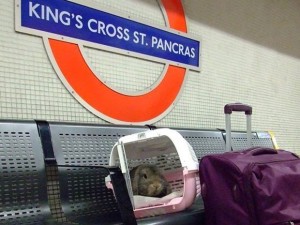 Jared no metrô de Londres