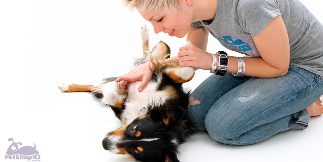 Remédios caseiros são soluções rápidas para problemas em cães