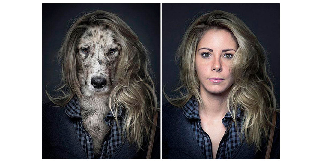 Cara de um, focinho do outro: fotos com cães e donos iguais