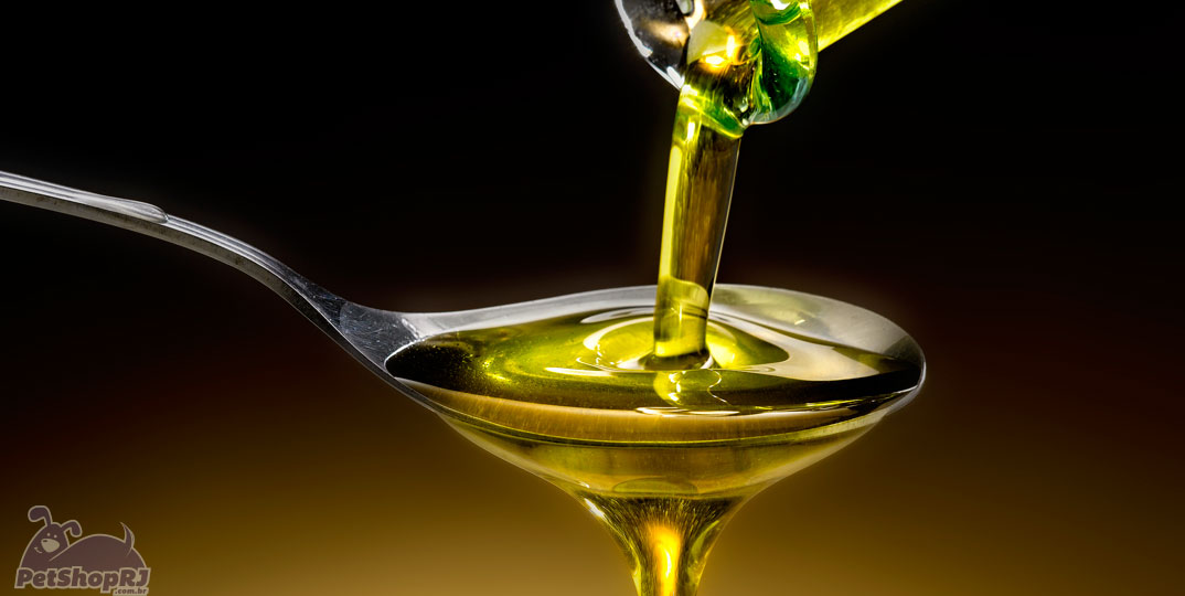 Azeite de oliva oferece múltiplos benefícios para saúde