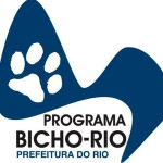 Bicho Rio faz mais de 35 mil esterilizações até novembro de 2013