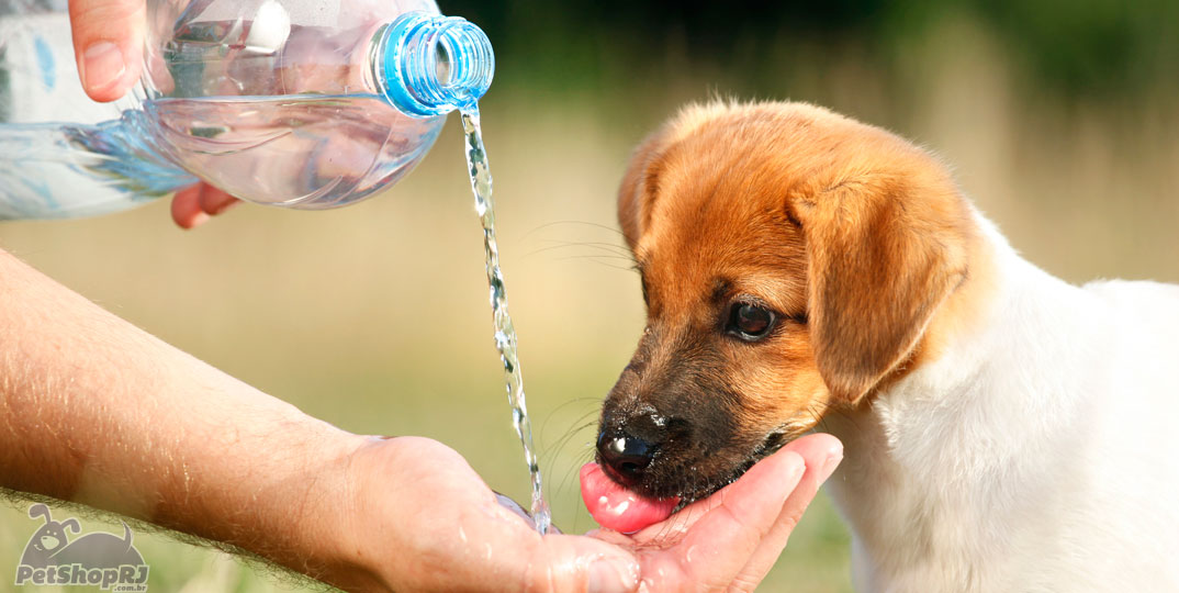 Produtos para aliviar o calor