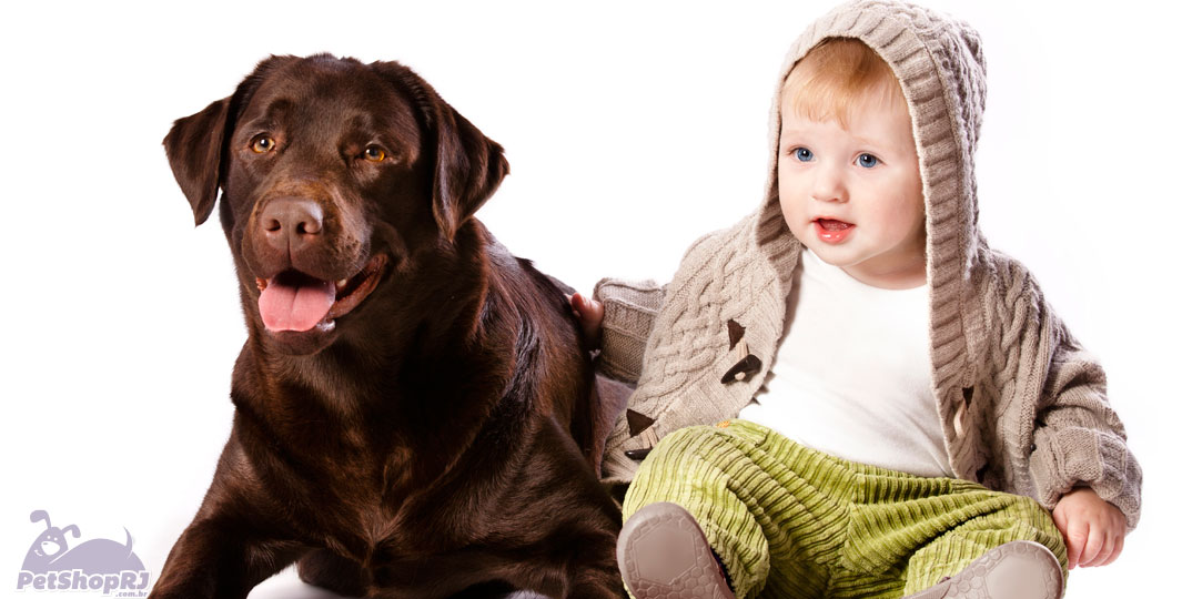 Contato do bebê com animais de estimação reduz risco de alergia