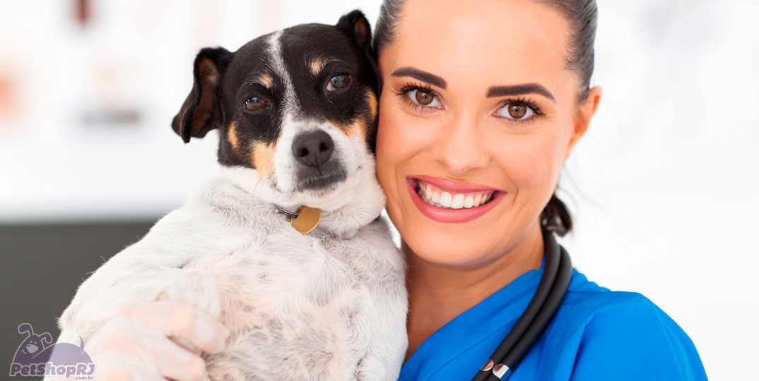 Veterinários para os novos tempos