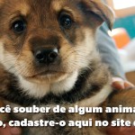 Canal para animais desaparecidos