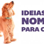 Ideias de nomes para cães