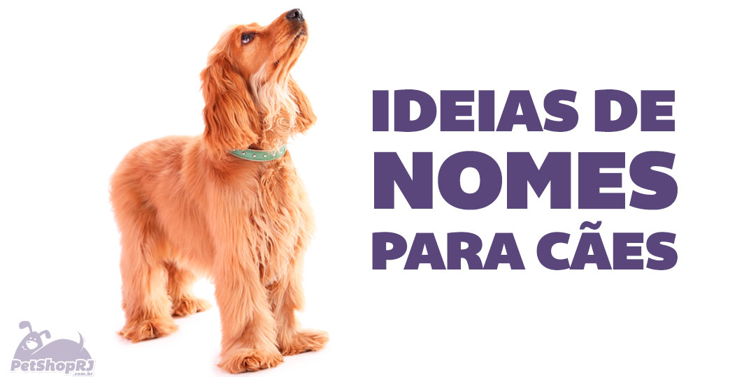 Nomes para cachorro: 2000 ideias para o seu pet!