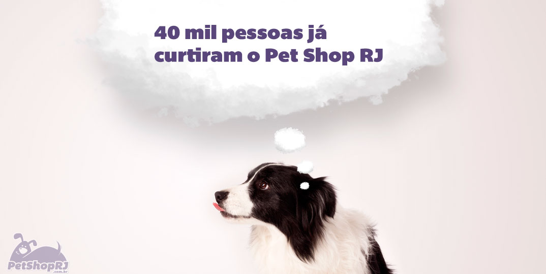 40 mil pessoas já curtiram o Pet Shop RJ