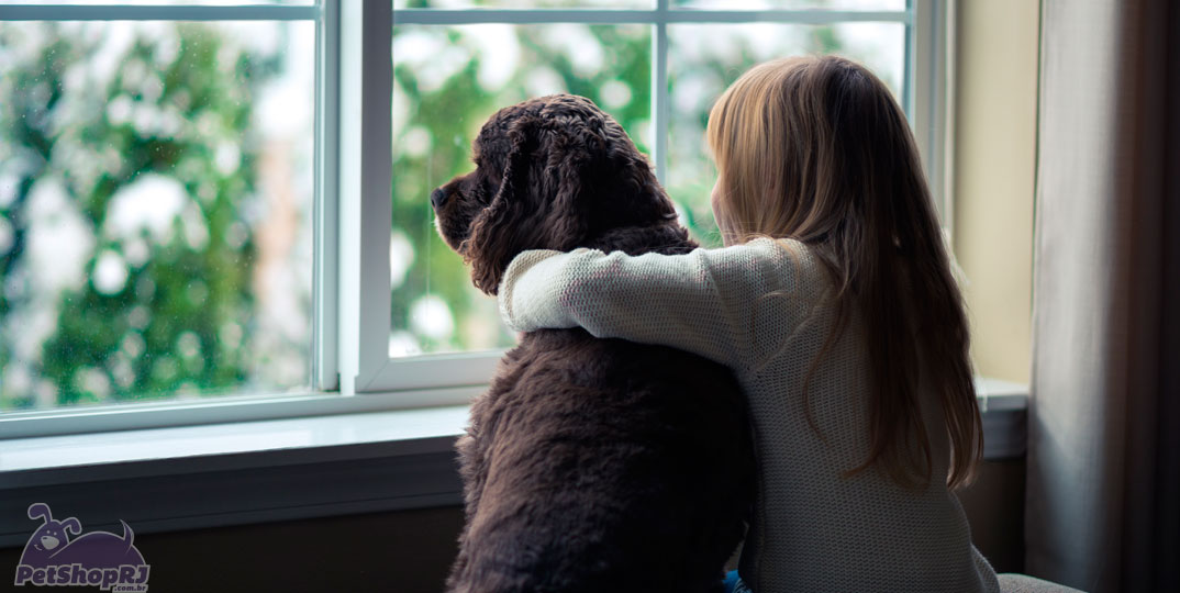 Dicas para cuidar de cães e gatos no inverno