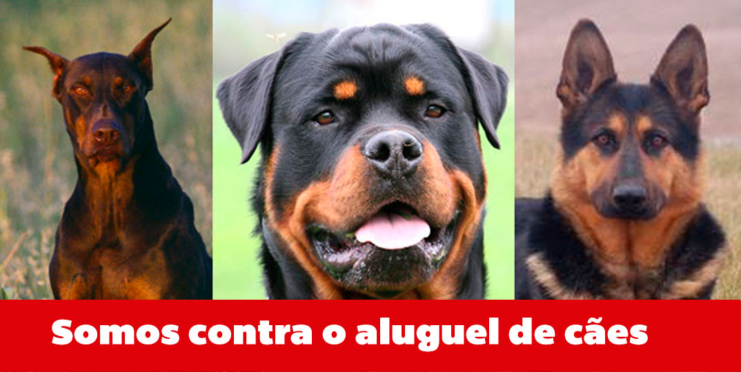 Campanha contra uso de cães para segurança privada