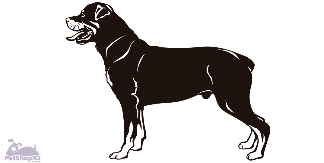Cães de grande porte: animais de muita utilidade