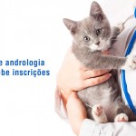 Curso online de andrologia veterinária recebe inscrições