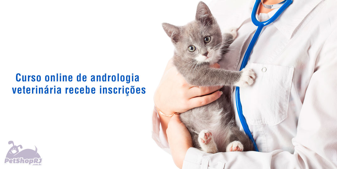 Curso online de andrologia veterinária recebe inscrições
