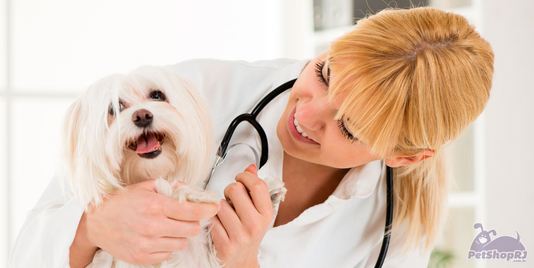 Médico Veterinário: no seu dia, obrigado por tudo!