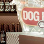 Cerveja para cachorros na versão tipo exportação