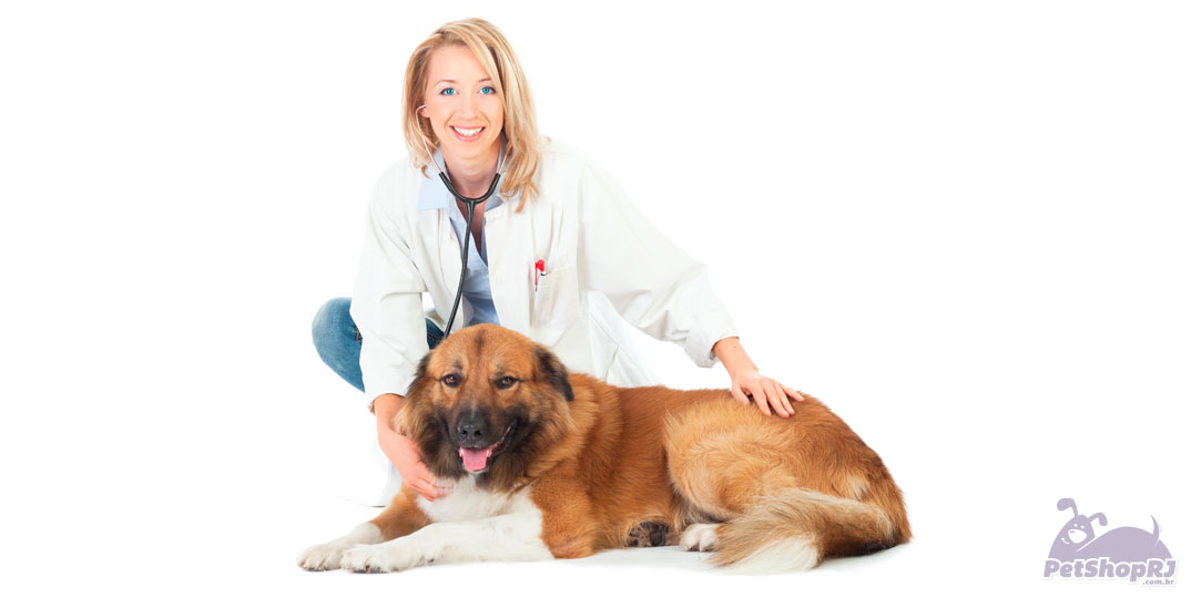 Oncologia veterinária, avanços e desafios