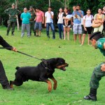 PM do Rio promove competição de cães farejadores