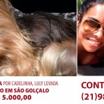 Recompensa de R$ 5 mil por Yorkshire Terrier sequestrada