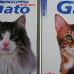 “Eu Curto Gato”