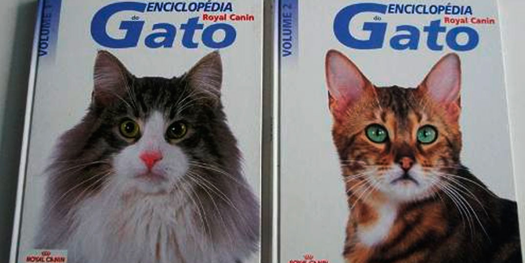 “Eu Curto Gato”