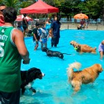 Um clube exclusivo para cachorros