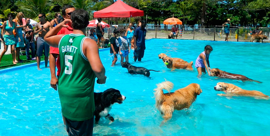 Um clube exclusivo para cachorros