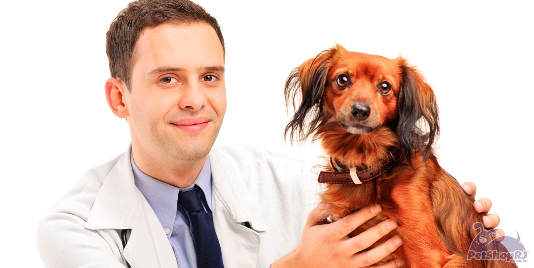 Estabelecimentos veterinários: novas regras a partir de 15 de janeiro
