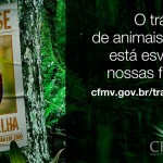 Aplicativo no Facebook ajuda a combater tráfico de animais selvagens
