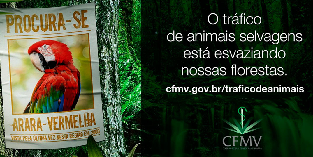 Aplicativo no Facebook ajuda a combater tráfico de animais selvagens