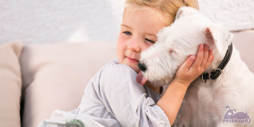 Contato com pets ajuda na recuperação de doentes