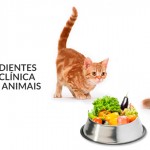 E-book trata de alimentação natural para pets