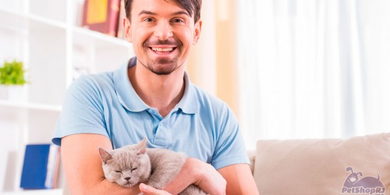 Estudo sobre genética explica relação entre gatos e homens