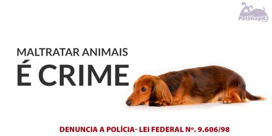 Nova Friburgo se mobiliza para combater maus-tratos aos animais