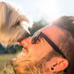 Caminho para entender relação entre cães e seres humanos