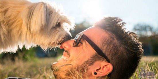 Caminho para entender relação entre cães e seres humanos