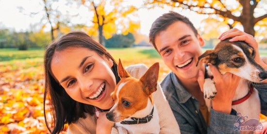 Na falta de espaço em casa, aluguel de cães vira moda