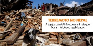 WAP-socorre-animais-atingidos-pelo-terremoto-no-Nepal-