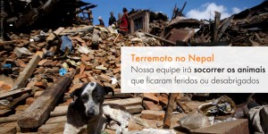 WAP-socorre-animais-atingidos-pelo-terremoto-no-Nepal