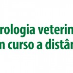 Andrologia veterinária tem curso a distância