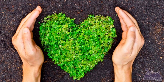 Em busca da conscientização ambiental