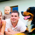 Projeto prevê espaço para pets no Minha Casa, Minha Vida