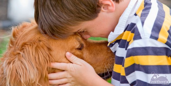 Companhia de pets ajuda a ter coração mais saudável