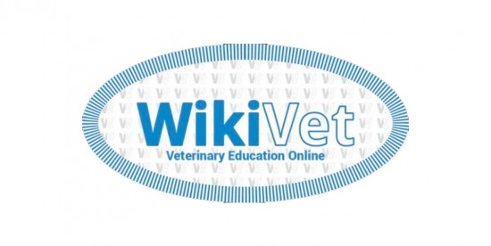 Uma plataforma para educação veterinária